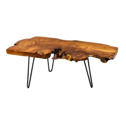 Table basse racine deteck massif WILD 100cm