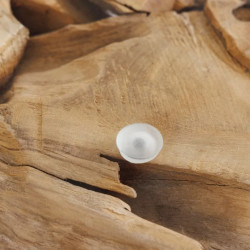 Table basse carrée racine de teck RIVERSIDE 80cm avec verre