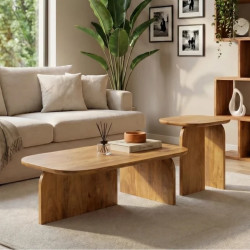 Lot de 2 tables basses en bois de manguier marron GATSBY