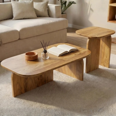 Lot de 2 tables basses en bois de manguier marron GATSBY